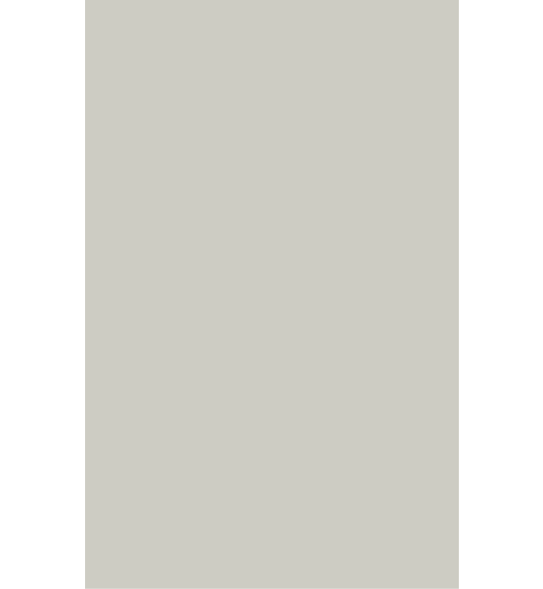 Arctic Grey