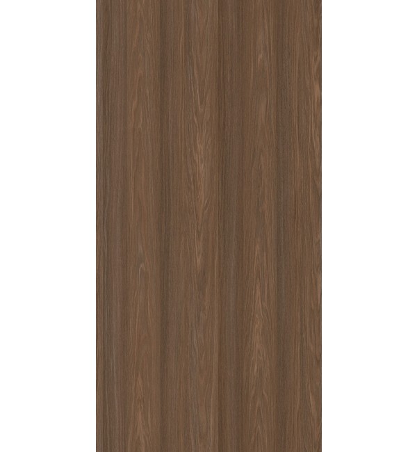 Salvador Oak