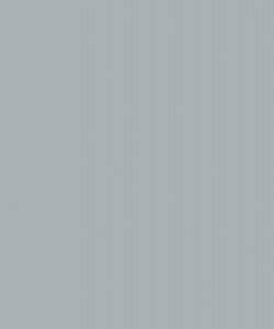Bluish Grey