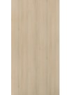 Munich Acacia